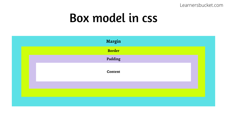 css box model assignment